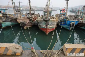 渔船已“冬闲”，海鲜市场依旧火爆图片