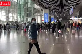 提个醒！春运大幕即将开启，广州铁路警方：高铁动车全列禁烟图片