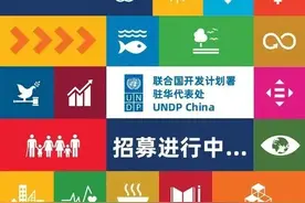 招聘 | 4名联合国开发计划署项目协调助理（Project Coordination Assistant）图片