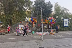 卖气球老人“气球和钱包一起飞走”，网传有人捡回 老伴：没人还回，不愿再提此事图片