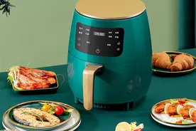 曝空气炸锅不等于完全健康 可能导致基因突变或肿瘤图片