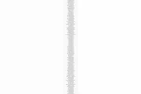 共137家！湛江多家企业入选2022年广东省创新型中小企业图片