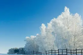 夜雨丨北走：大雪入梦来图片