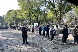 西溪寻梅正当时，“免费游”的第一个周末，西溪湿地迎来2万名游客图片