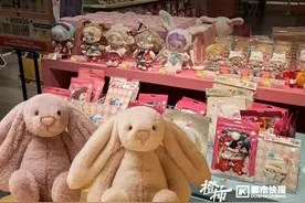 “前兔似锦”“大展宏兔”，春节前杭城“含兔量”直线飙升，你买了哪个兔子周边？图片