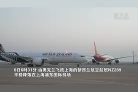 新华全媒+｜取消入境核酸检测与隔离 直击上海浦东国际机场旅客入境全流程图片