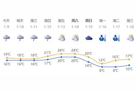 深新早点｜这些出入境证件恢复办理，线上可预约图片