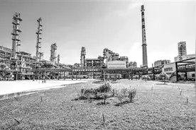 宁东能源化工基地脱“灰”奔“绿”图片