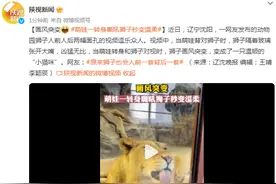 画风突变，萌娃一转身嘶吼狮子秒变温柔图片