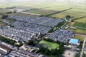 江苏宿迁：“农”墨重彩 乡村振兴成色足图片