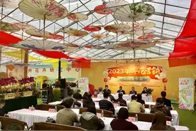 行花街，过大年！2023广州年花营销正式启动图片