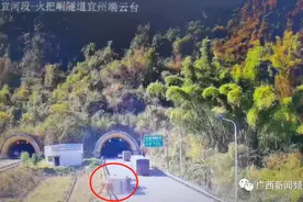 几十只鸭子在路边散步？货车追尾小车失控侧翻，150箱鸭子散落图片