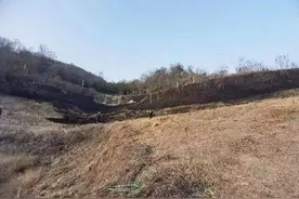 近200平米的草坪被点燃！杭州女孩哭着认错：“是我放的鞭炮”图片