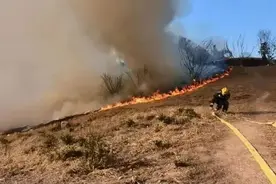 噼噼啪啪响！杭州一公园草坪烧起来了，孩子哭着跑来坦白...图片