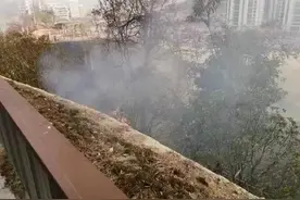 杭州女孩哭着“自首”：是我的错！200平方米瞬间点燃，这幕让她彻底慌了图片