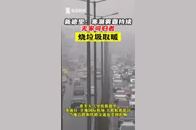 新德里：寒潮雾霾持续 无家可归者烧垃圾取暖图片