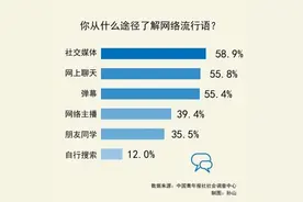 想夸人却只会说666？超六成受访青年担心过度使用网络流行语会冲击传统语言文化图片