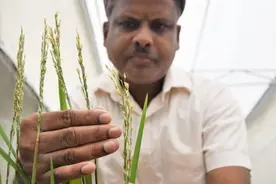 美媒盘点：2022年十大进步让世界更美好图片