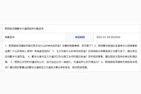 延乔路没看到有雕像，改方案了？肥西县回复图片