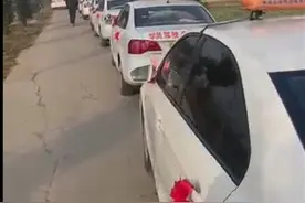 女学员嫁给驾校教练，当事人：20辆教练车组成婚车车队图片