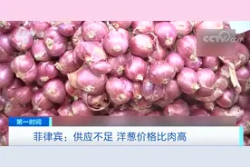 洋葱荒！比肉贵！菲律宾一公斤飙至70元？！图片