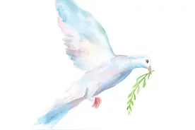 为何说“一鸽胜九鸡，鸽蛋赛人参”？图片