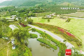 走进海南治愈系“国家级”美丽休闲乡村 拥抱田野慢生活图片