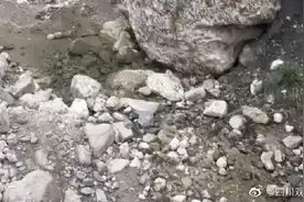 成都一山沟现大量化石图片