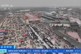 赶大集、备年货！各地假日文旅市场“热”起来了！兔元素年货消费成热门→图片