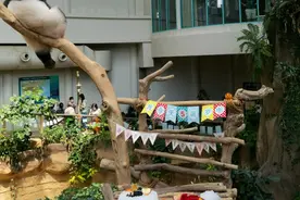 马来西亚国家动物园为大熊猫“谊谊”庆祝5岁生日图片