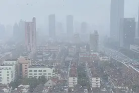 2023年上海的第一场雪来了，“今天的雪下得很认真”图片