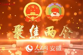 安徽省人大代表杨松涛：推动皖北“两个加快” 埇桥大有可为图片