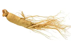 人参是养气的“药中之王”，大补元气的“超级保健品”图片