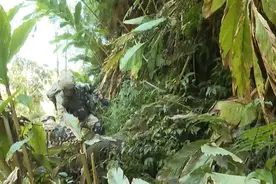 带着砍刀和棉衣，他们穿越“死亡森林”巡逻图片