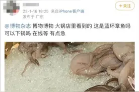 热搜第一！吃火锅前发了一张照片，竟救了一桌人……图片