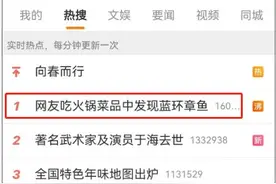 冲上热搜！网友在火锅店发现蓝环章鱼：含河豚毒素，受热不分解，千万别吃图片