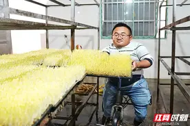 笑容里看星沙③ |“一米先生”朱柱：生活的尘泥里 开出绚烂的花图片