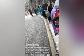 衡山景区游客滑雪下山撞伤他人逃逸 景区：已安排工作人员在特定路段保护游客图片