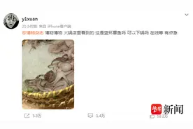 蓝环章鱼火遍全网，专家：最毒的动物之一，不要好奇去吃，不提倡当宠物养图片