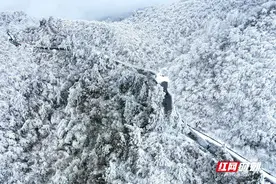 雾凇美景引客至 南岳1月接待游客63万人次同比增长3倍图片