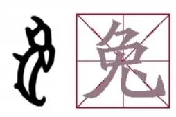 兔：代表月亮的可爱担当图片