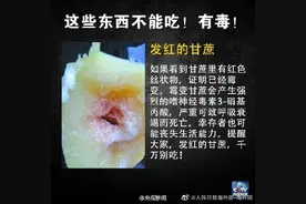 这些食物不能吃 有毒！图片