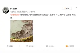 冲上热搜！记住它的样子！千万别吃！有剧毒！图片