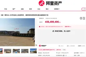 超10亿资产再流拍 青年汽车仍在招募“白衣骑士” 生产资质是最后底牌？图片