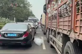开车去海南，却遭遇“大堵车”，有人3小时只挪了300米！三亚海鲜标价几百元1斤？网友：涨得离谱图片