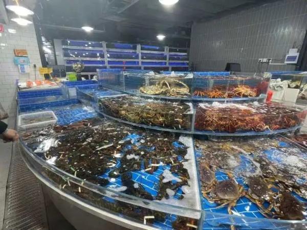 鲨鱼肚多少钱一斤 2026年鲨鱼肚价格多少