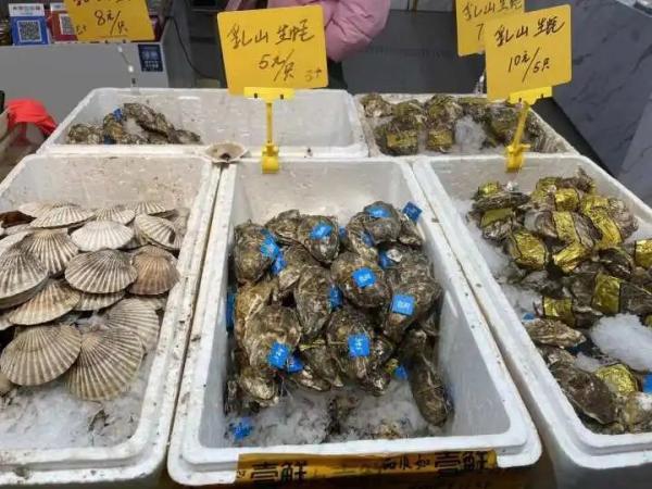 鲨鱼肚多少钱一斤 2026年鲨鱼肚价格多少