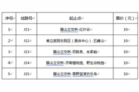 开通5条景区专线，济南公交助力市民春节畅玩图片