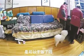 隔“屏”陪伴成代际交流新方式图片