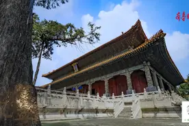 果然视频 | 济宁城市形象宣传片21日起登陆央视图片